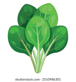 Arte de Espinafre Fresco, Vetor, Ícone e Gráfico, Design de Ilustração de Vegetais Planos sobre Fundo Branco