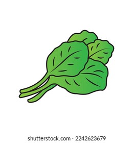 Fresh spinach vegetable logo,icon vector illustration design