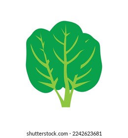Fresh spinach vegetable logo,icon vector illustration design