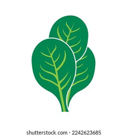 Fresh spinach vegetable logo,icon vector illustration design