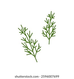 Fresh sprigs of dill displayed in a simple and clean design for culinary use and herb identification