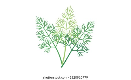Fresh sprigs of green dill herb are illustrated in a simple minimalist style featuring thin feathery leaves and stems.