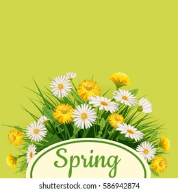 Fresh spring background bouquet of daisies and dandelions, grass, greeting, isolated, Cartoon style, vector illustration