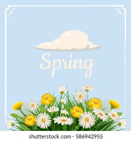 Fresh spring background bouquet of daisies and dandelions, grass, greeting, isolated, Cartoon style, vector illustration