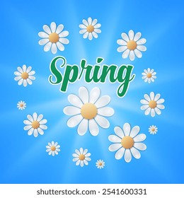 Fresh spring background with daisies on blue background. vector illustration