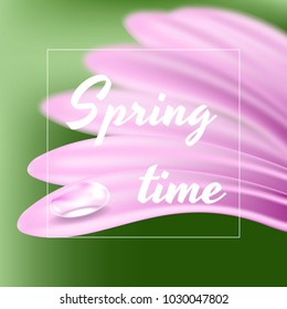 Fresh spring background with a Daisy and a drop of dew.