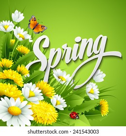 Fresh spring background with grass, dandelions and daisies