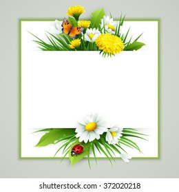 Fresh spring background with grass, dandelions and daisies