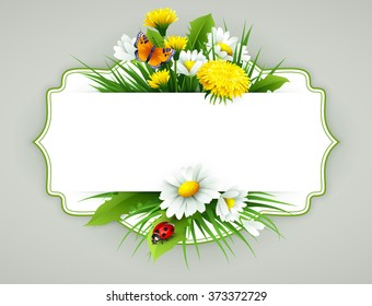 Fresh spring background with grass, dandelions and daisies  Vector