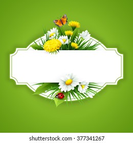 Fresh spring background with grass, dandelions and daisies. Vector