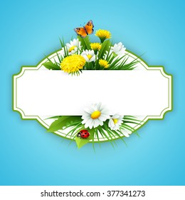 Fresh spring background with grass, dandelions and daisies. Vector