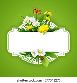 Fresh spring background with grass, dandelions and daisies. Vector