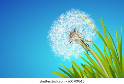 Fresh spring background with grass and dandelions. Vector illustration