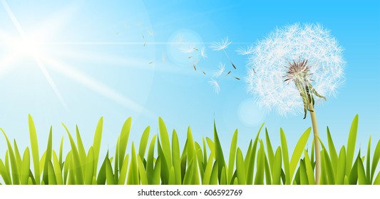 Fresh spring background with grass and dandelions. Vector illustration