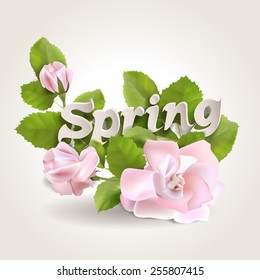 Fresh spring background with leaves and roses