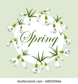 Fresh spring background with snowdrops with green leaves. Vintage background. Vector