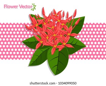 Fresh Spring Beautiful Color Flowers On Background. Vector illustration. Gift and decorative element. 
Floral and garden