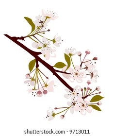 Fresh Spring Blossom vector is hand drawn original artwork in AI-EPS8 format.