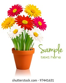 Fresh spring color flowers. Vector illustration.