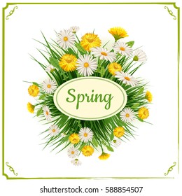 Fresh spring, daisies and dandelions, grass, greeting, isolated, Cartoon style, vector illustration