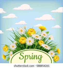 Fresh spring, fields, meadows, daisies and dandelions, grass, greeting, isolated, Cartoon style, vector illustration