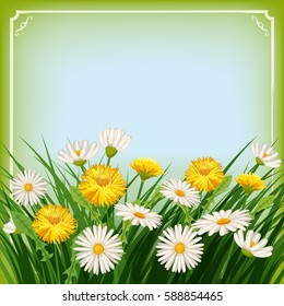 Fresh spring, fields, meadows, daisies and dandelions, grass, greeting, isolated, Cartoon style, vector illustration