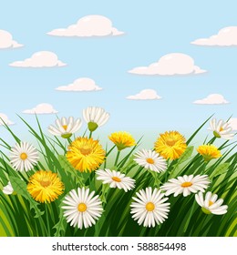 Fresh spring, fields, meadows, daisies and dandelions, grass, greeting, isolated, Cartoon style, vector illustration