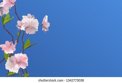 Fresh spring flowers background with frame. Vector.