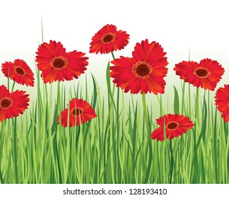 Fresh spring flowers seamless border. White seamless background. Grass, gerbera, love hearts. Decor edge. Summer.