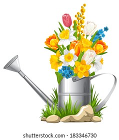 Fresh spring flowers in watering can. Vector illustration.