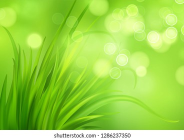 Fresh Spring green grass background. Vector illustration EPS10