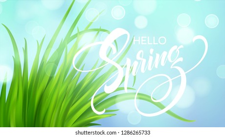 Fresh Spring green grass background. Vector illustration EPS10