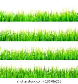 Fresh spring green grass isolated on white background. And also includes EPS 10 vector