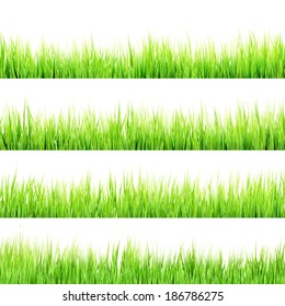 Fresh spring green grass isolated on white background. And also includes EPS 10 vector
