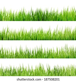 Fresh spring green grass Isolated On White. And also includes EPS 10 vector