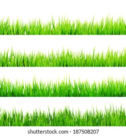 Fresh spring green grass isolated on white background. And also includes EPS 10 vector