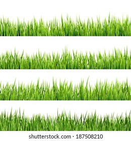 Fresh spring green grass isolated on white background. And also includes EPS 10 vector