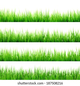 Fresh spring green grass isolated on white background. And also includes EPS 10 vector - Shutterstock ID 187508216