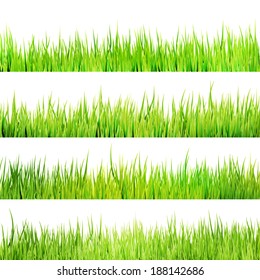 Fresh spring green grass isolated on white background. And also includes EPS 10 vector