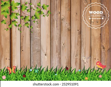 Fresh spring green grass with leaf plant over wood fence background, Vector illustration template design