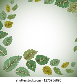 Fresh spring green grass leaves frame template with curling blank sheet paper design vector illustration.