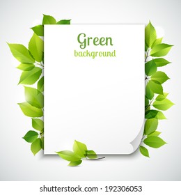 Fresh spring green grass leaves frame template with curling  blank sheet paper design vector illustration
