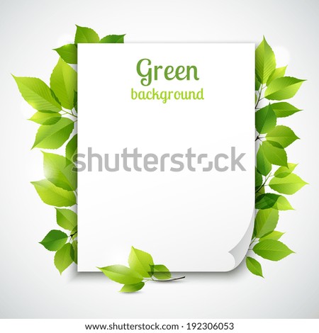 Fresh spring green grass leaves frame template with curling  blank sheet paper design vector illustration