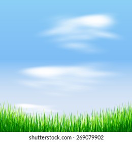 Fresh spring green grass on blue sky background. Beauty natural background
