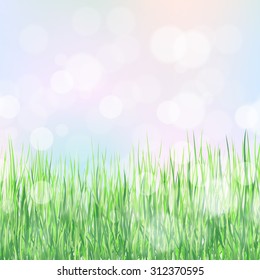 Fresh spring green grass on blue sky background. Beauty natural background