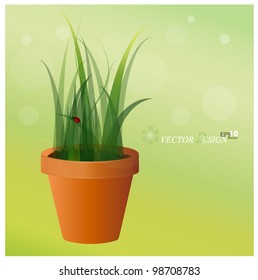Fresh spring green grass in a pot and Lady bug. Vector illustration.