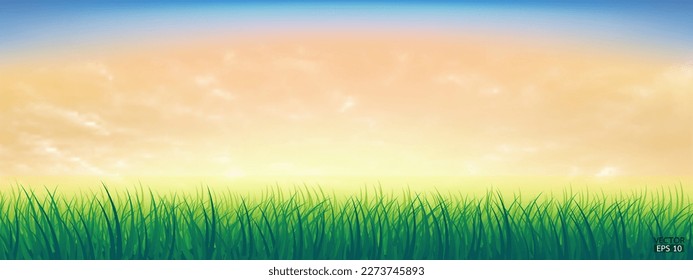 Fresh spring green grass under beautiful yellow to blue sky. Nature background with green grass and colorful sky. Vector illustration.