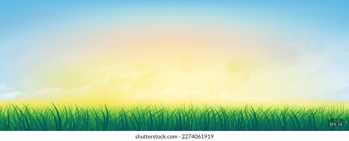 Fresh spring green grass under beautiful yellow to blue sky. Nature background with green grass and colorful sky. Vector illustration.
