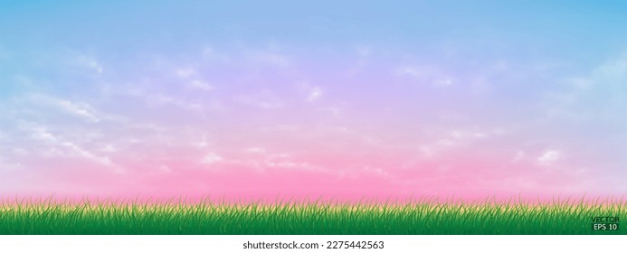Fresh spring green grass under beautiful blue to pink sky. Nature background with green grass and pink sky. Vector illustration.