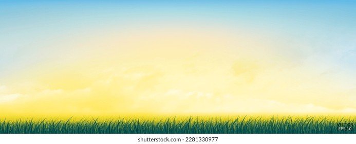 Fresca hierba verde primavera bajo un hermoso cielo amarillo a azul. Fondo natural con césped verde y cielo colorido. Ilustración vectorial.